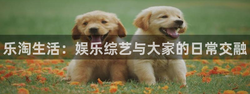 万向娱乐充值怎么退款：乐淘生活：娱乐综艺与大家的日常交融