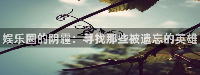 壹号app官方登录入口下载：娱乐圈的阴霾：寻找那些被遗忘的英雄