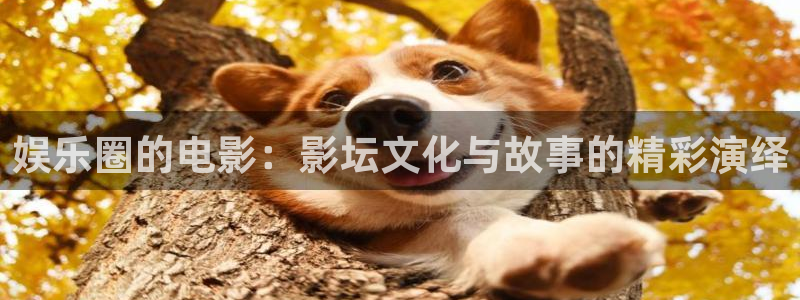 壹号大舞台娱乐传媒：娱乐圈的电影：影坛文化与故事的精彩演绎