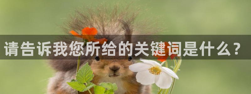 壹号电子娱乐app：请告诉我您所给的关键词是什么？