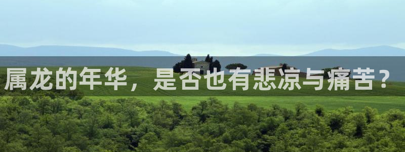 万向娱乐官网入口：属龙的年华，是否也有悲凉与痛苦？