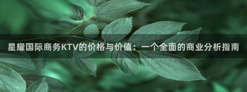 壹号平台下载安装官网：星耀国际商务KTV的价格与价值：一个全面的商业分析指南