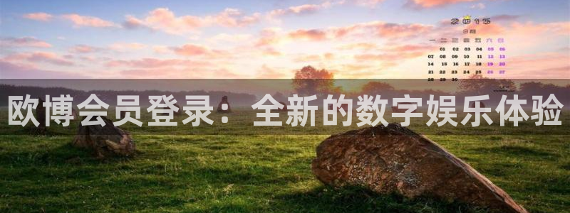 万向娱乐官方app下载安装：欧博会员登录：全新的数字娱乐体验