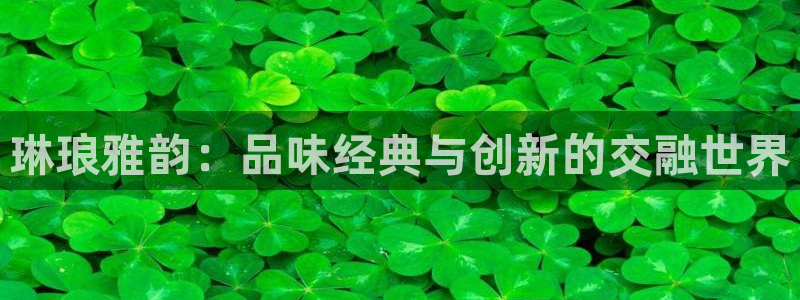 万向娱乐官网：琳琅雅韵：品味经典与创新的交融世界