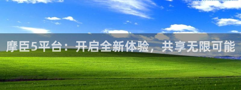 万向娱乐官网下载：摩臣5平台：开启全新体验，共享无限可能