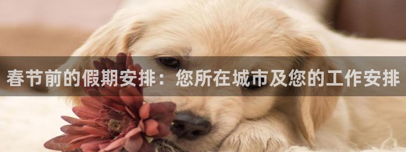 壹号app官方登录入口下载：春节前的假期安排：您所在城市及您的工作安排