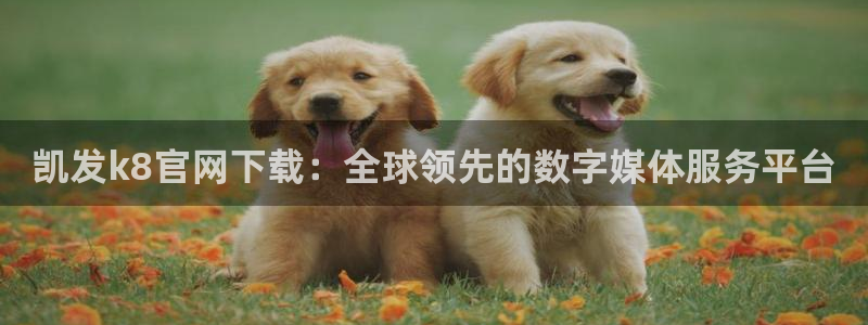 壹号玩家app下载：凯发k8官网下载：全球领先的数字媒体服务平台