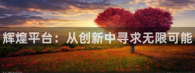壹号电子娱乐app下载安装：辉煌平台：从创新中寻求无限可能
