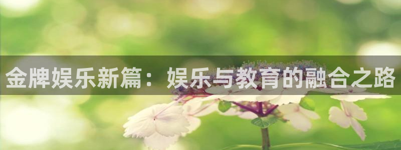 壹号下载官网入口：金牌娱乐新篇：娱乐与教育的融合之路