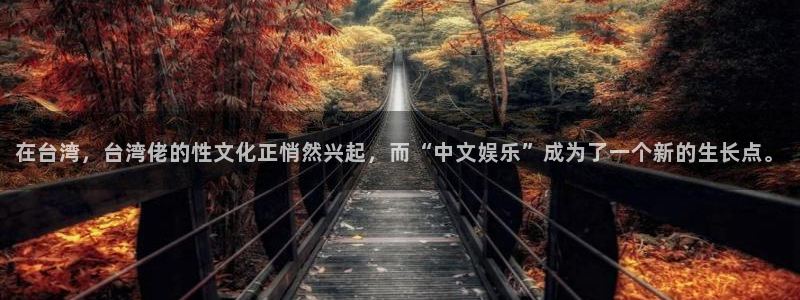 壹号电子娱乐app下载：在台湾，台湾佬的性文化正悄然兴起，而“中文娱乐”成为了一个新的生长点。