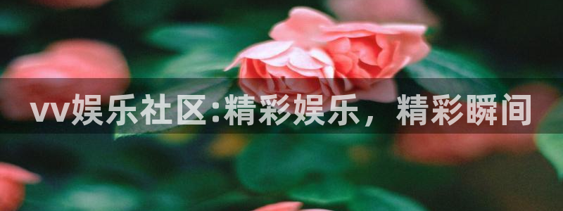 万向娱乐充值怎么退款：vv娱乐社区:精彩娱乐，精彩瞬间