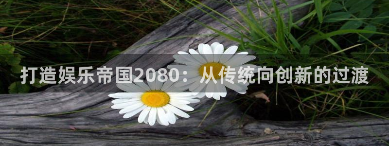 壹号平台下载：打造娱乐帝国2080：从传统向创新的过渡