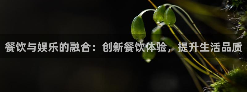 万向娱乐电子游戏官网：餐饮与娱乐的融合：创新餐饮体验，提升生活品质