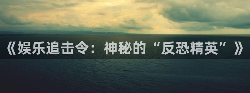 壹号国际app免费下载安装：《娱乐追击令：神秘的“反恐精英”》