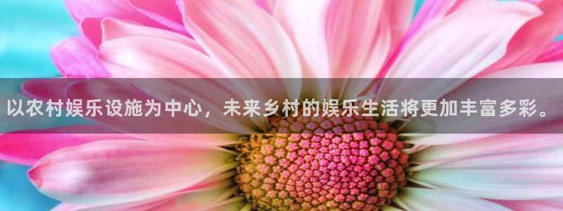 壹号下载官网入口：以农村娱乐设施为中心，未来乡村的娱乐生活将更加丰富多彩。