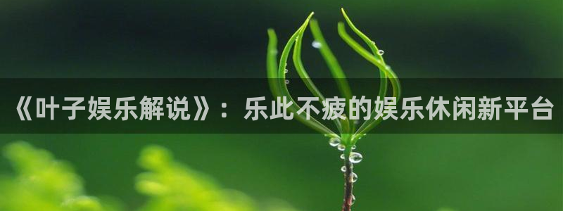 壹号电子娱乐app下载安装：《叶子娱乐解说》：乐此不疲的娱乐休闲新平台