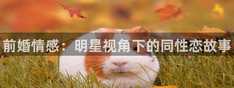 壹号app官网：前婚情感：明星视角下的同性恋故事