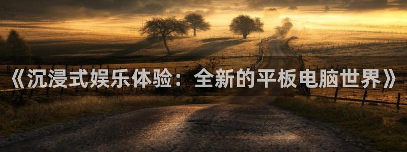 万向娱乐怎么下载：《沉浸式娱乐体验：全新的平板电脑世界》
