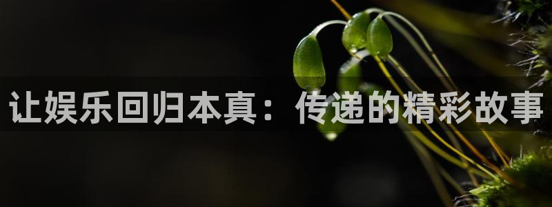万向娱乐吧：让娱乐回归本真：传递的精彩故事
