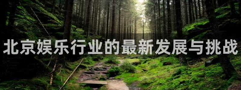 伟德国际集团 壹号(one game)：北京娱乐行业的最新发展与挑战