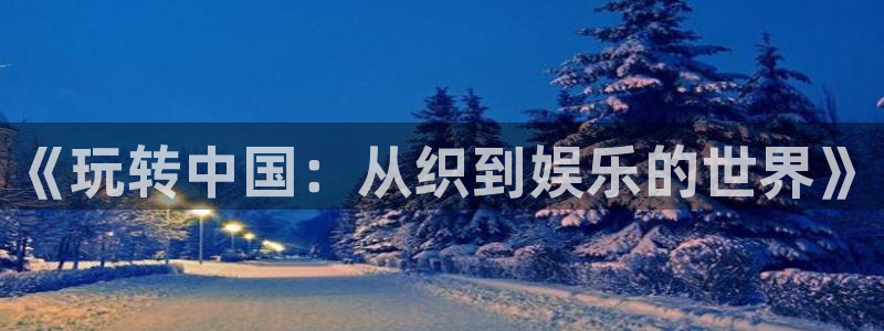万向娱乐官网入口：《玩转中国：从织到娱乐的世界》