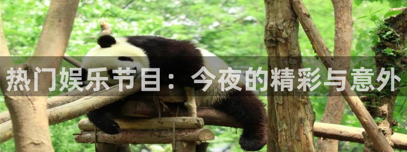 壹号app下载苹果：热门娱乐节目：今夜的精彩与意外