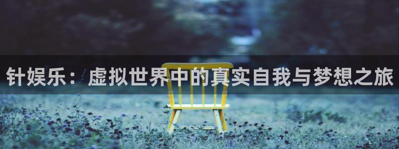 壹号大舞台：针娱乐：虚拟世界中的真实自我与梦想之旅