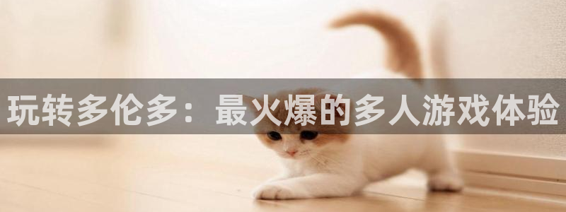 壹号app下载官网娱乐：玩转多伦多：最火爆的多人游戏体验