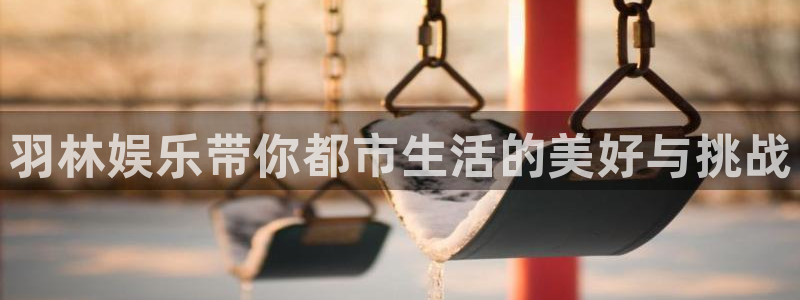 万向娱乐科技赋能,让平台更有趣：羽林娱乐带你都市生活的美好与挑战