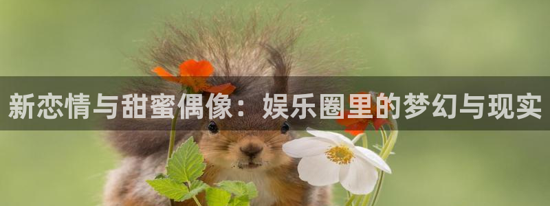 下载万向娱乐app：新恋情与甜蜜偶像：娱乐圈里的梦幻与现实