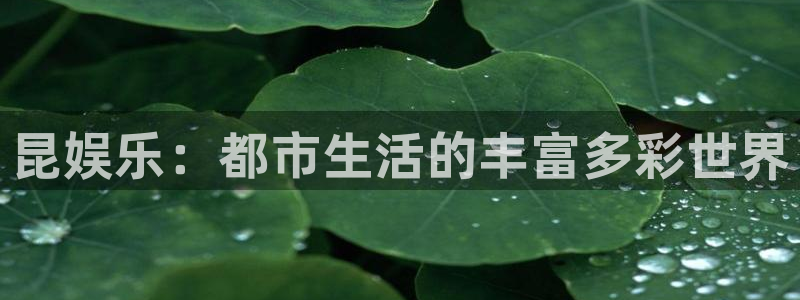 壹号玩家app下载：昆娱乐：都市生活的丰富多彩世界