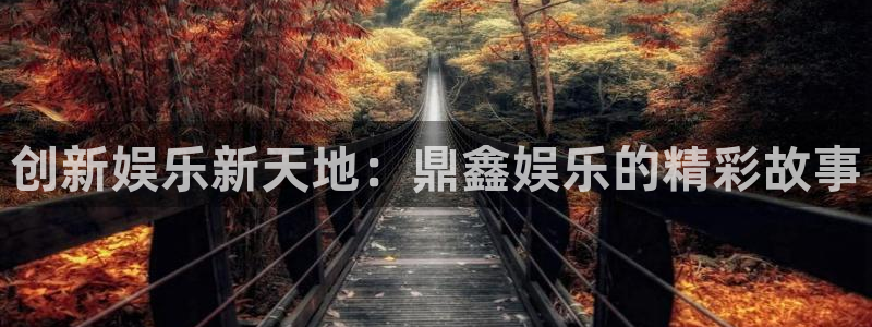壹号大舞台,有梦你就来：创新娱乐新天地：鼎鑫娱乐的精彩故事
