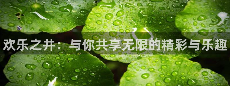 万向娱乐app下载安装：欢乐之井：与你共享无限的精彩与乐趣