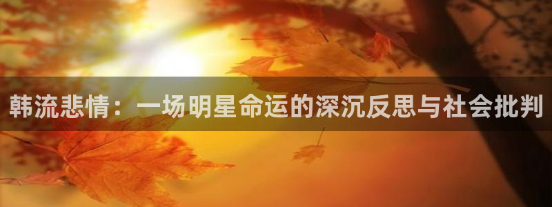 壹号大舞台官网入口：韩流悲情：一场明星命运的深沉反思与社会批判