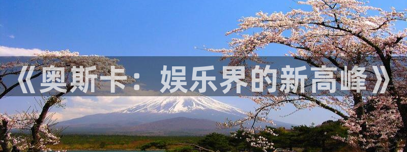 万向娱乐下载：《奥斯卡：娱乐界的新高峰》