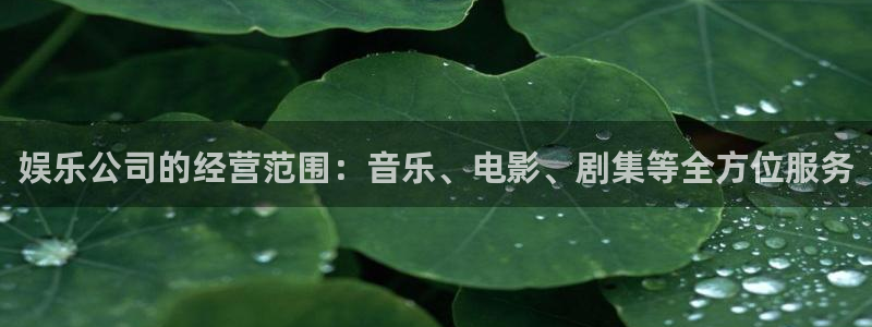壹号大舞台有梦你就来：娱乐公司的经营范围：音乐、电影、剧集等全方位服务