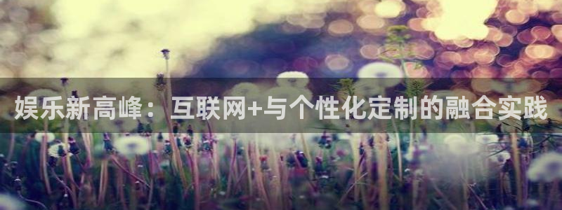 万向娱乐com：娱乐新高峰：互联网+与个性化定制的融合实践