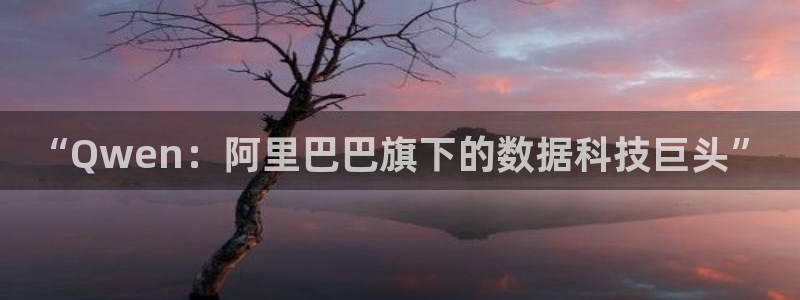 下载万向娱乐app：“Qwen：阿里巴巴旗下的数据科技巨头”