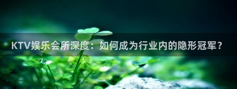 万向娱乐官网下载：KTV娱乐会所深度：如何成为行业内的隐形冠军？
