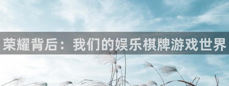 万向娱乐下载：荣耀背后：我们的娱乐棋牌游戏世界