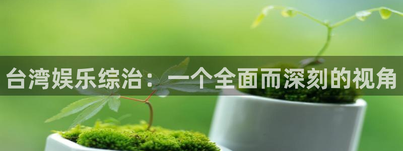 万向娱乐 - ng大舞台,有梦你就来：台湾娱乐综治：一个全面而深刻的视角