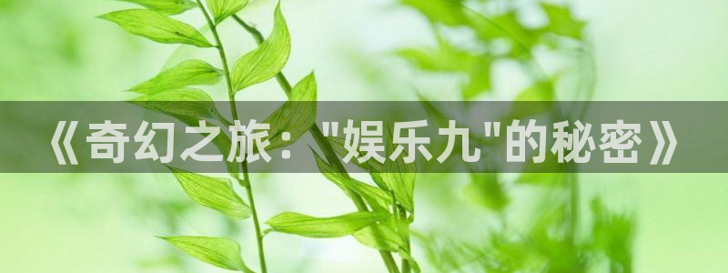 万向娱乐官网：《奇幻之旅：\