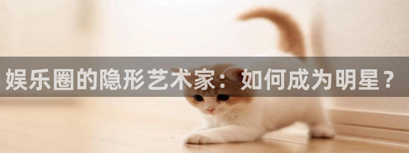 壹号电子娱乐app下载安装最新版本：娱乐圈的隐形艺术家：如何成为明星？