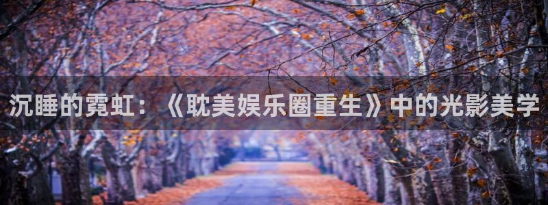 壹号电子娱乐app下载：沉睡的霓虹：《耽美娱乐圈重生》中的光影美学