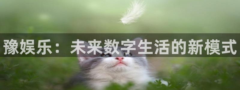 壹号国际app免费下载安装：豫娱乐：未来数字生活的新模式